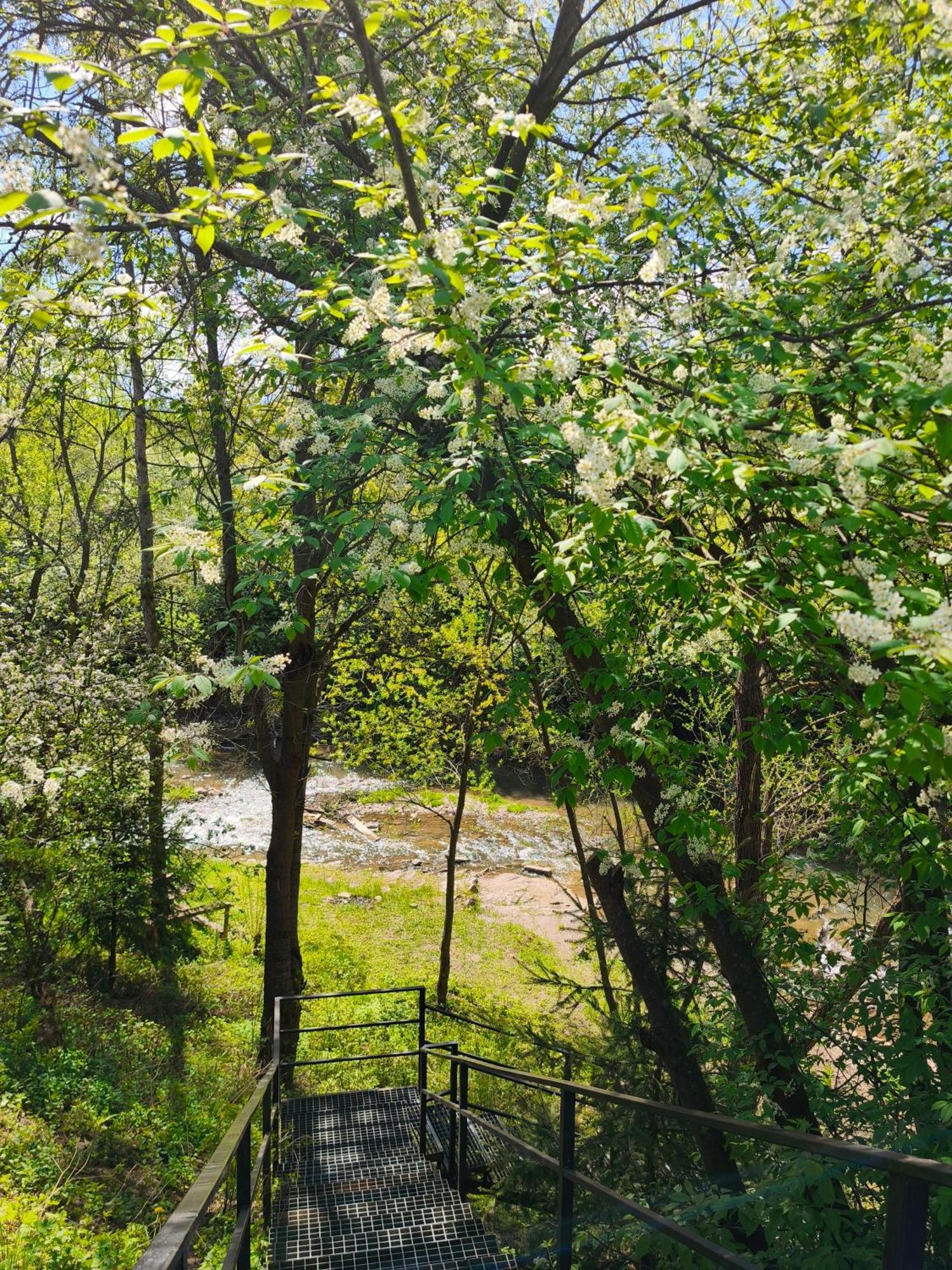 Apartaments Gory Niedzica Zamek Buitenkant foto